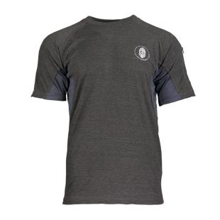 AESIR NORSE RAGNAR GRAY SPORTS T-SHIRT