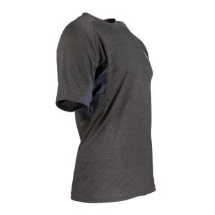 AESIR NORSE RAGNAR GRAY SPORTS T-SHIRT