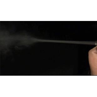 Crazy Jet Precision Inner Barrel 100 mm 6.04mm Maple Leaf