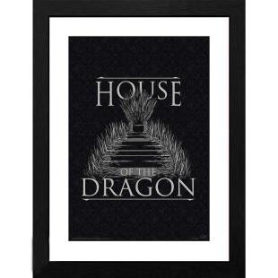 Cuadro House of Dragon