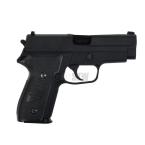 WE-F002 P228 GAS GUN