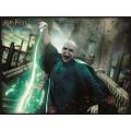 Puzzle Lenticular 3D Harry Potter Voldemort 300 piezas