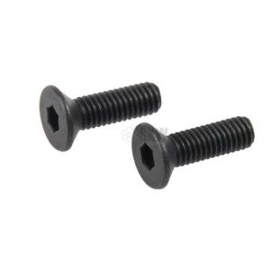 Screws To Install RMR Gladius Magna Secutor